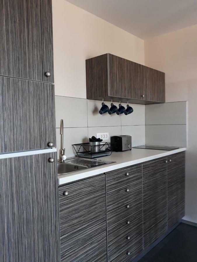 Apartment Amareta Maslenica Extérieur photo